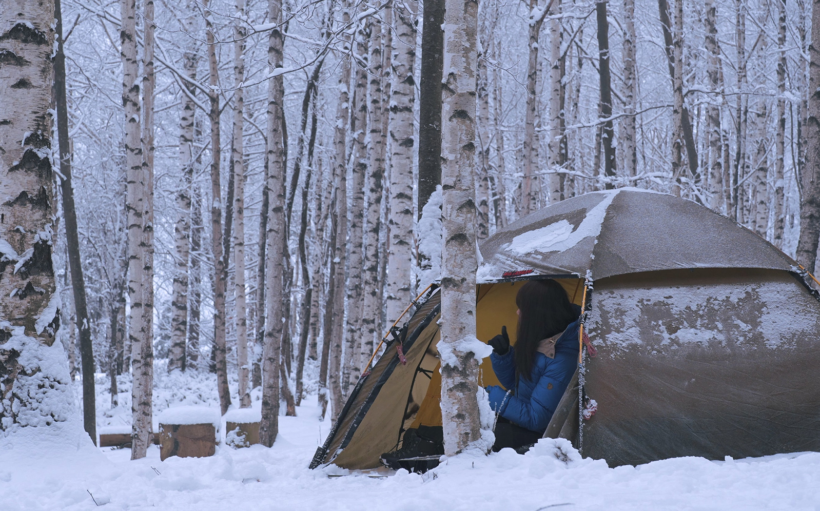 【camping film】在白雪皑皑的白桦林露营,雪中徒步 | 女背包客 户外