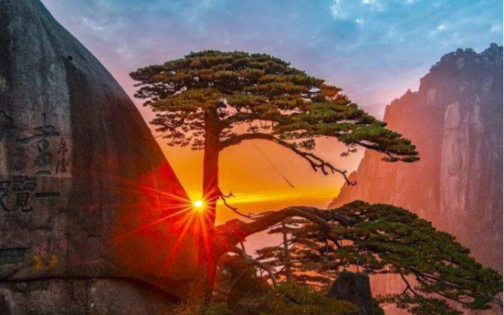 黄山的日出我爱了,日出,云海,雪景,迎客松,黄山真可谓是天下第一名山