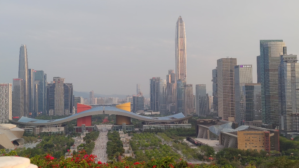 莲花山上鸟瞰深圳