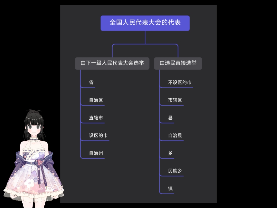 全国人民代表大会的代表——选举方式哔哩哔哩bilibili