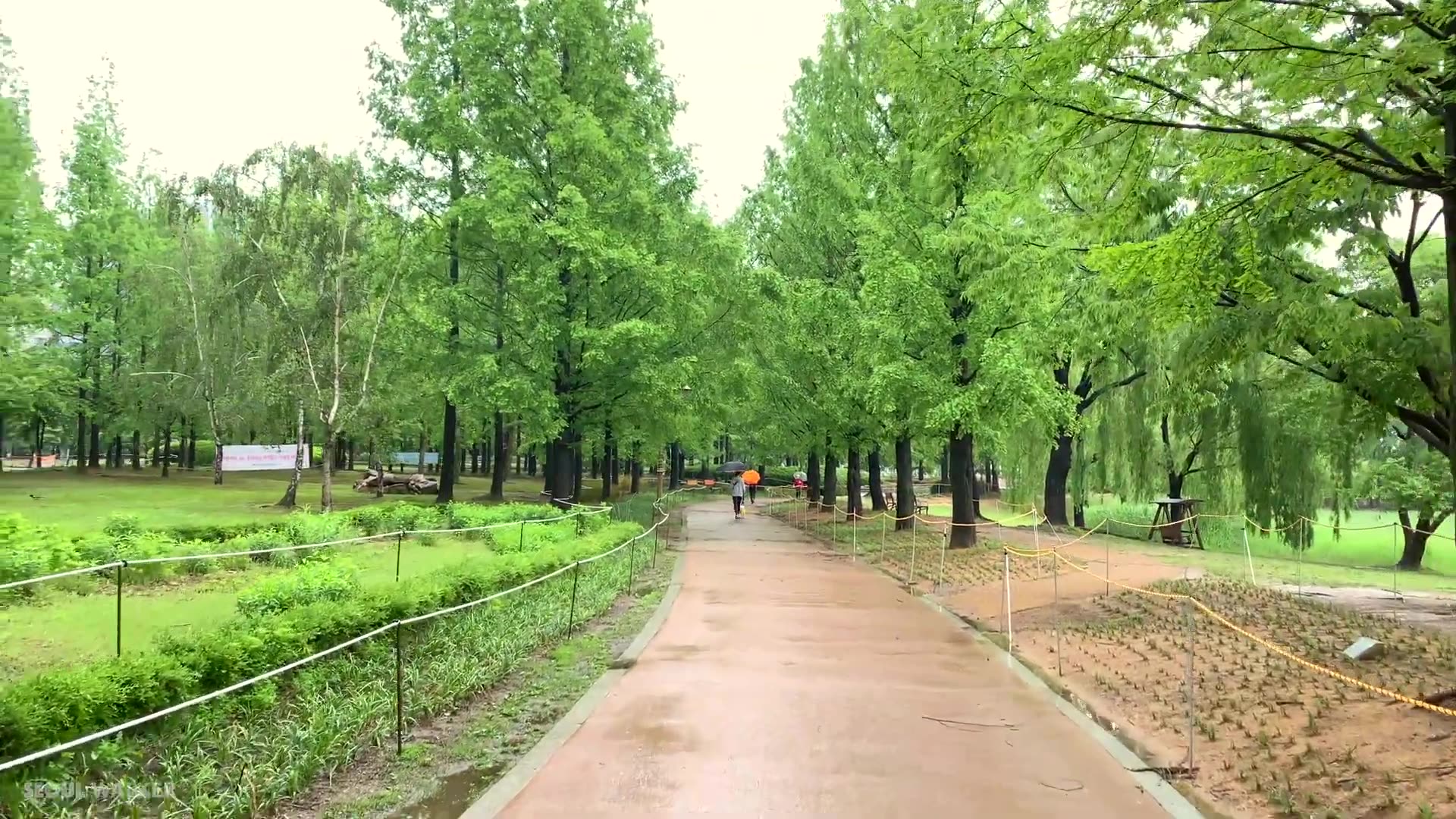 韩国京畿道高阳市日山图片