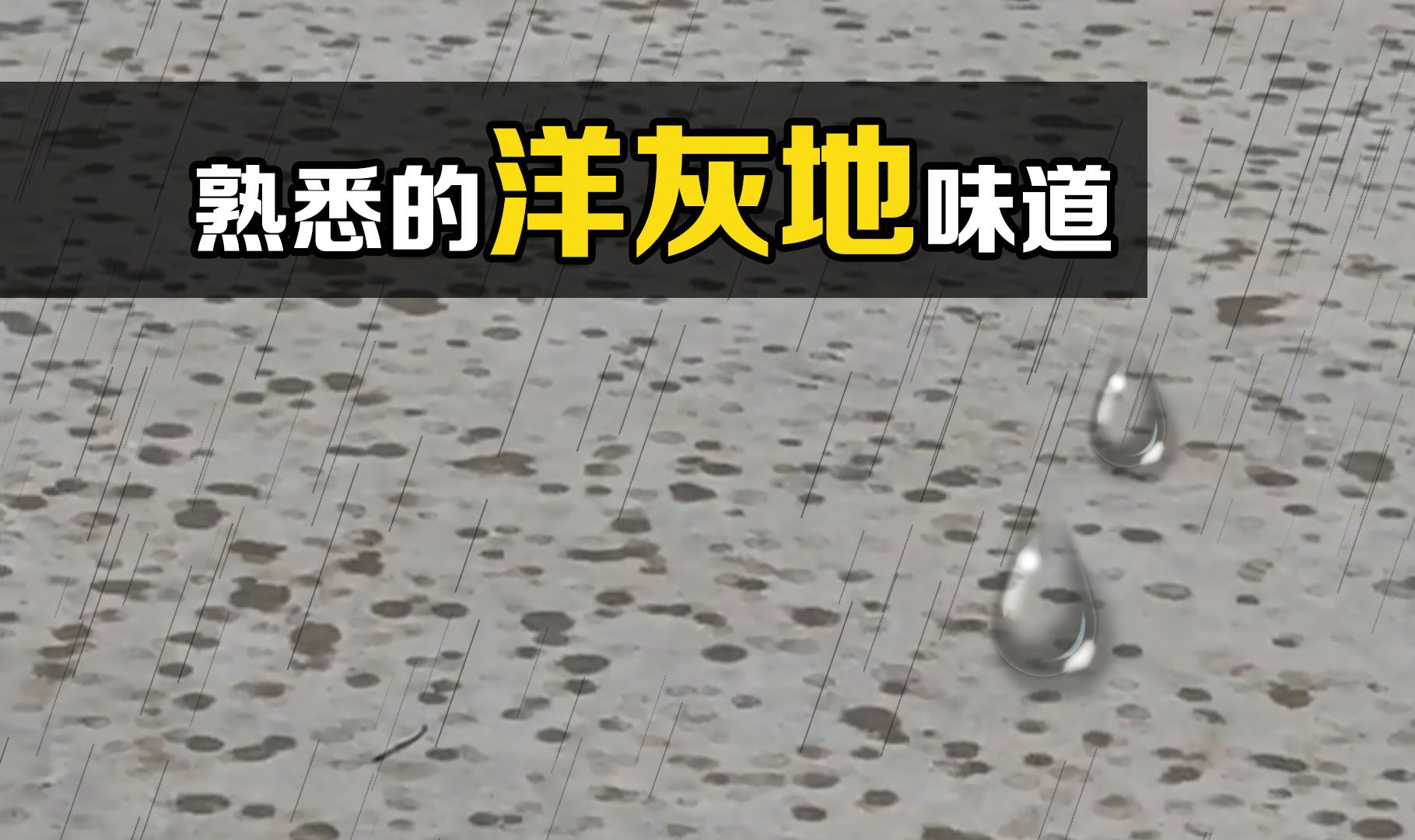 “潮土油”是什么?雨打在洋灰地上的味道,你还记得吗?-冷科普-冷科普-哔哩哔哩视频