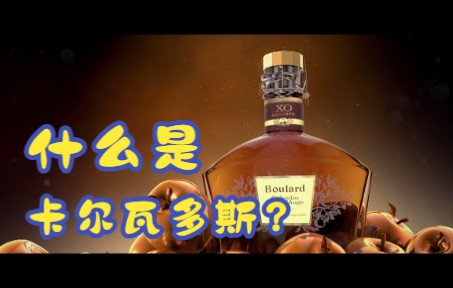 布拉德Calvados—苹果白兰地哔哩哔哩bilibili