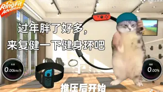 【猫meme】关于我过年吃太多又开始玩健身环大冒险的故事