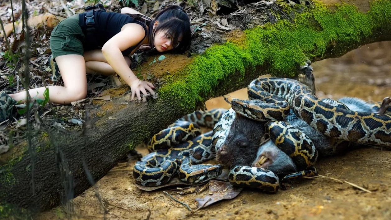 巨型蟒蛇怎么生存