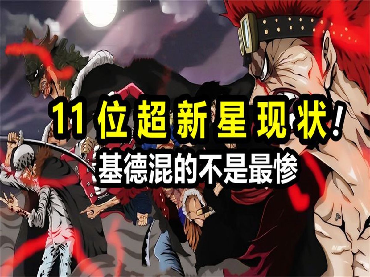 海贼王:盘点11位超新星现状,基德不是最惨的,路飞也不是混的最好的哔哩哔哩bilibili