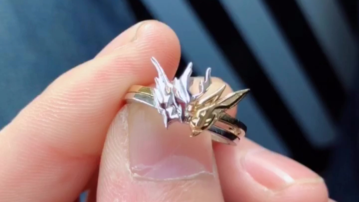 金兔银龙戒指,假面骑士build_哔哩哔哩_bilibili