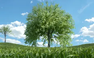 成长大树 搜索结果 哔哩哔哩 Bilibili