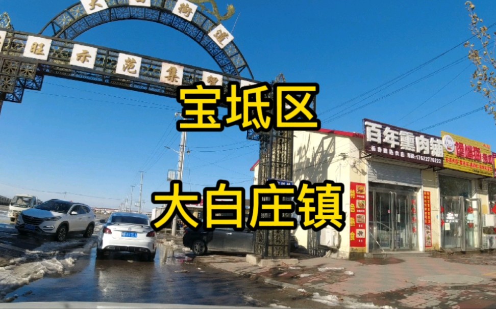 天津市宝坻区第《3》个视频,大白庄镇实地考察