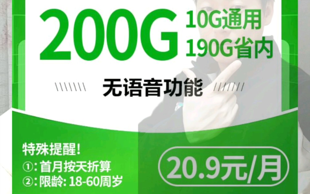 河北流量卡,长期21月租,10g国内通用流量,加190g河北通用流量,无语音功能,短信正常,18~65岁,仅河北,北翼卡哔哩哔哩bilibili