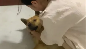 狗：她是不是疯了