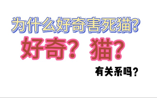 【科普】为什么好奇害死猫?好奇和猫有什么关系吗?为什么不是其他动物?哔哩哔哩bilibili