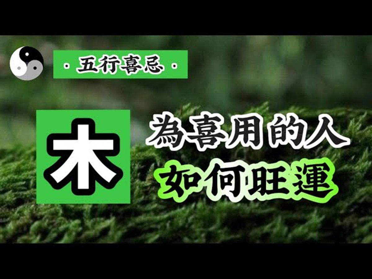 [图]喜用神為【木】的人該如何旺運？改運？｜流年大運 離火九運｜八字喜用神｜中國傳統道家文化｜易經｜易學智慧