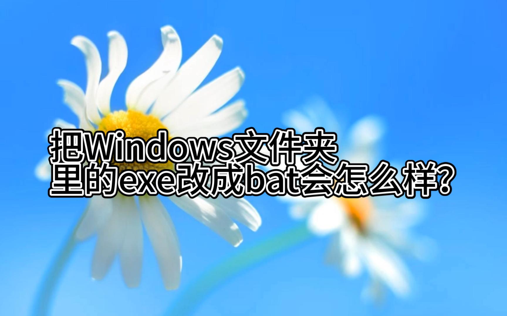 把exe改成bat会怎么样哔哩哔哩bilibili