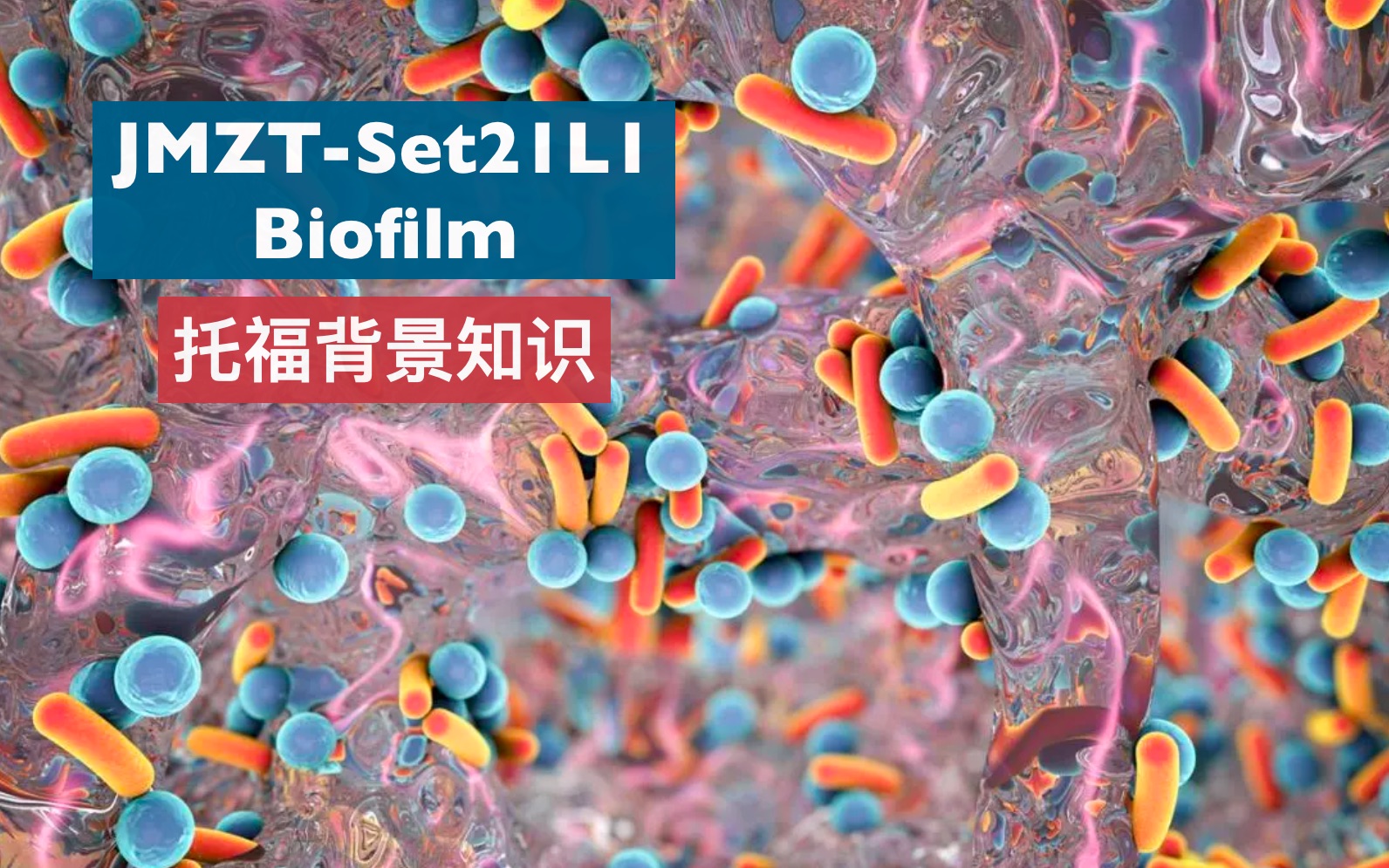 点对点托福背景知识biology真题Set21L1 Biofilm哔哩哔哩bilibili