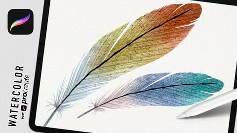 中文字幕教程 Ipad Procreate水彩系列 缤纷羽毛初级版 哔哩哔哩