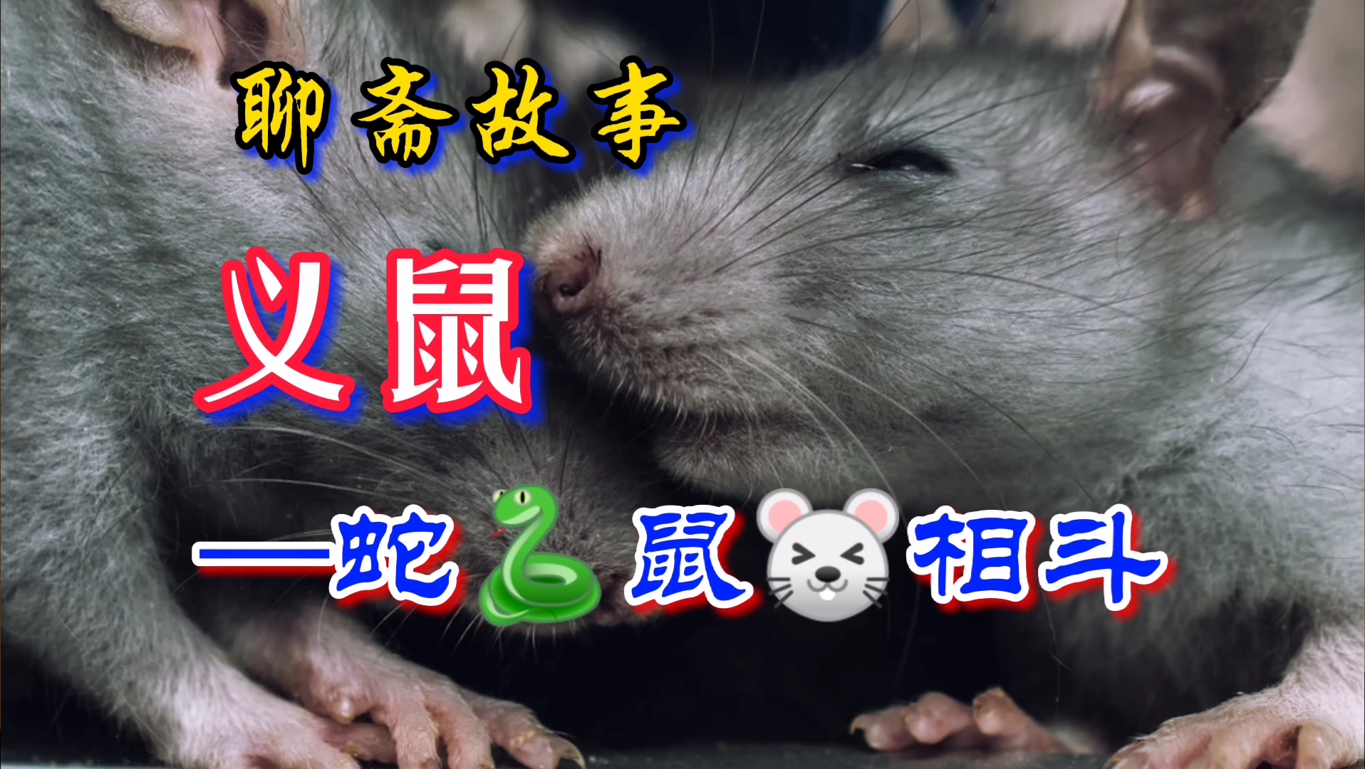 活动作品民间故事义鼠蛇鼠相斗