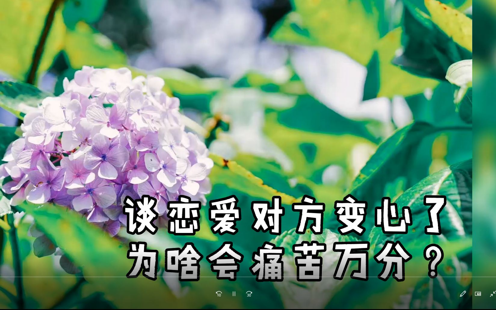 谈恋爱对方变心了,为啥会痛苦万分?