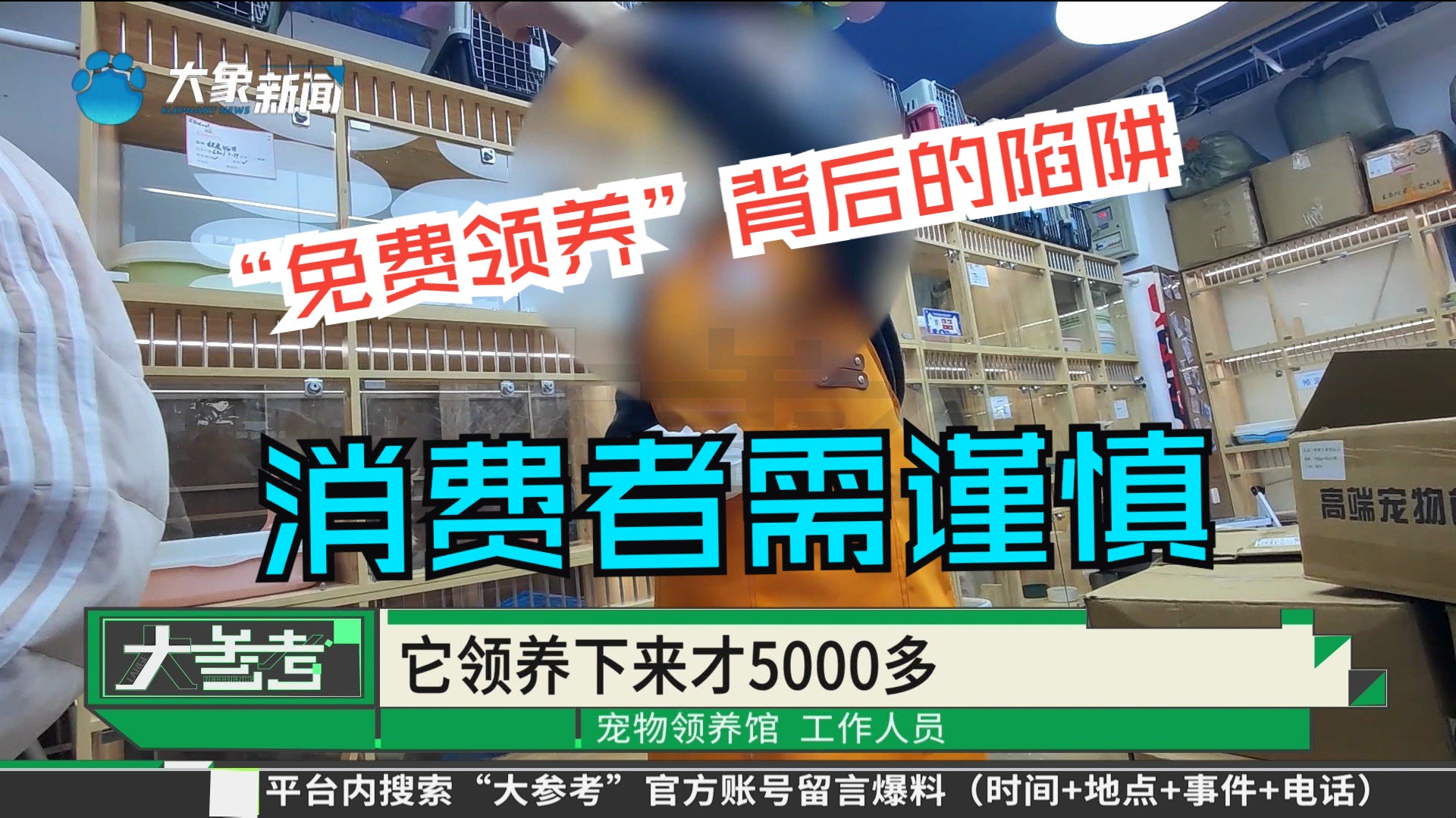 【宠物领养】“免费领养”背后的陷阱,消费者需谨慎哔哩哔哩bilibili