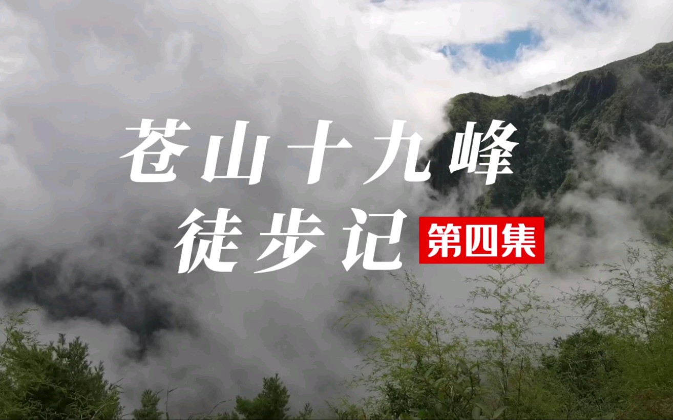 苍山十九峰第四集|徒步苍山小岑峰(电视塔)–洗马潭,云海翻腾美极了哔哩哔哩bilibili