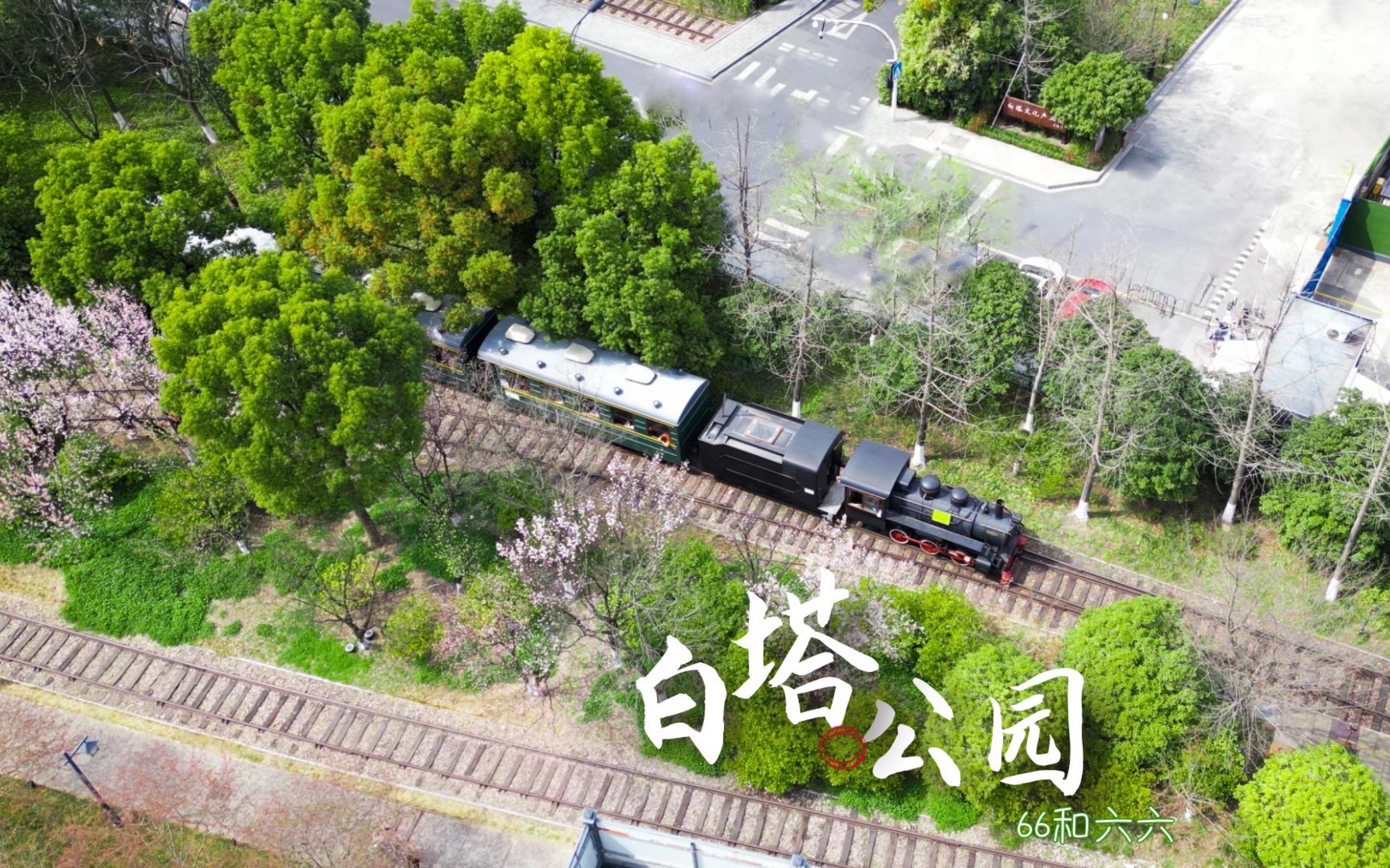 周末不宅家,杭州赚钱杭州花第一站——白塔公园