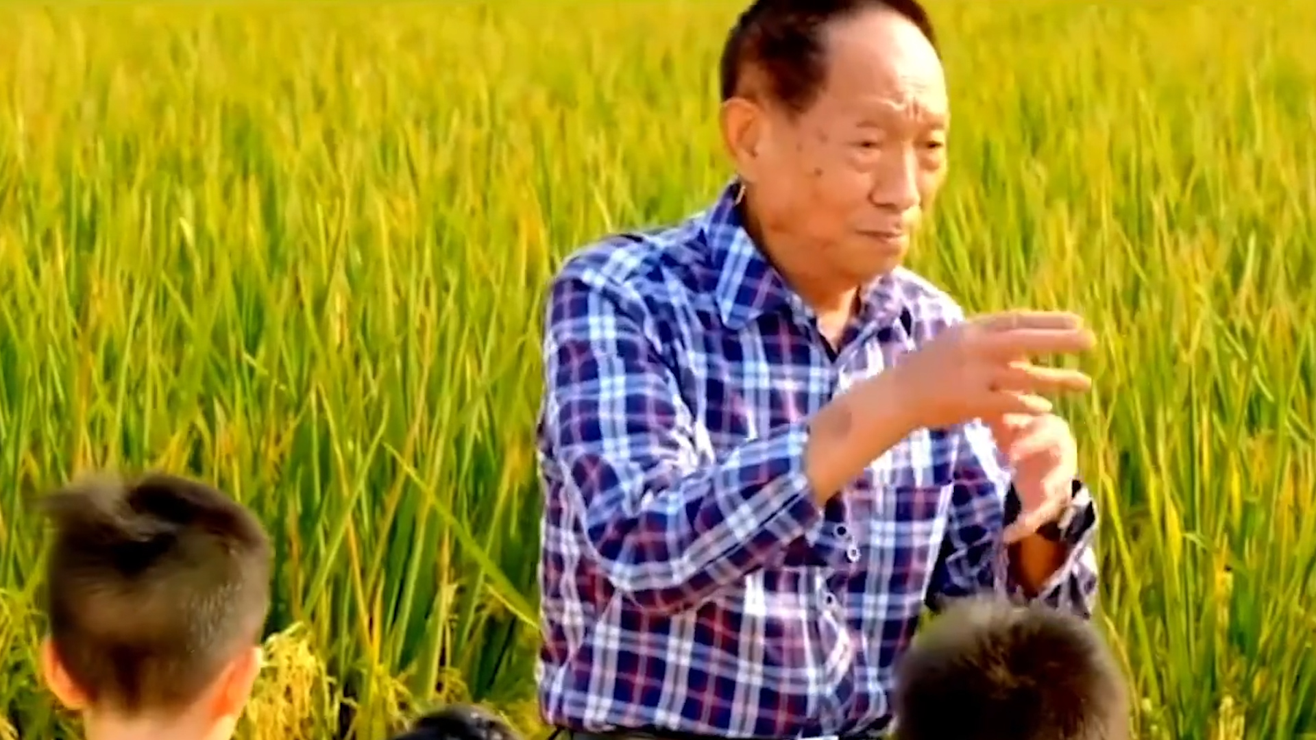 [图]缅怀！袁隆平耄耋之年仍躬耕田间只为“把饭碗端在自己手里”