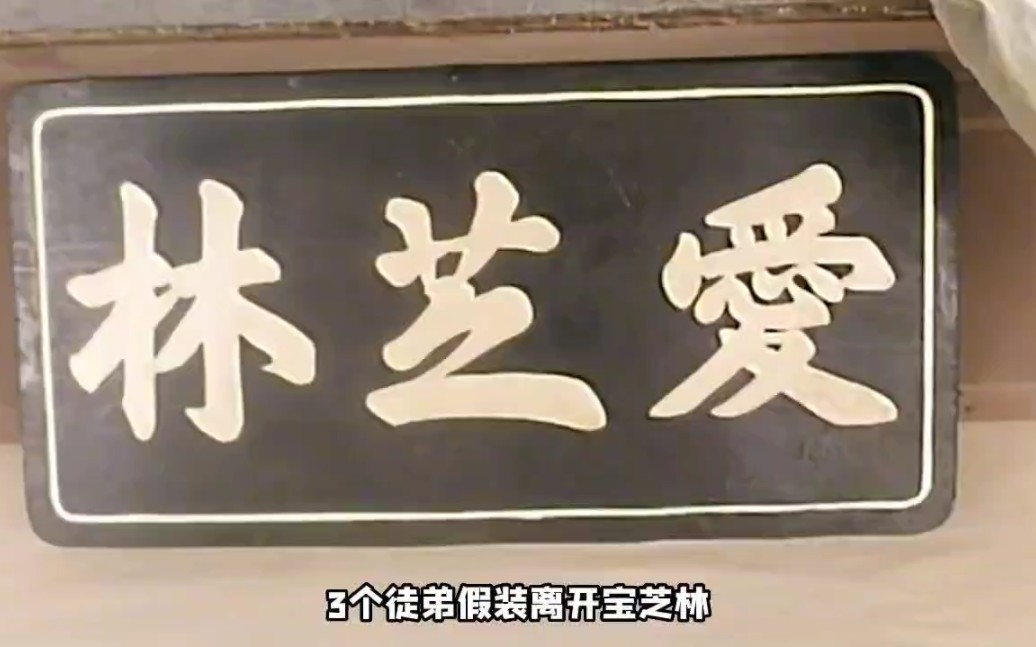 这个黄飞鸿居然不会武功,猪肉荣居然是宝芝林武功最高,史上最搞笑的黄飞鸿 "黄飞鸿笑传”哔哩哔哩bilibili