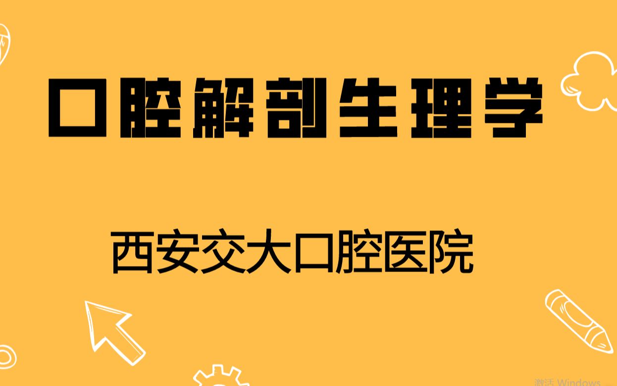 口腔医学:口腔解剖生理学哔哩哔哩bilibili