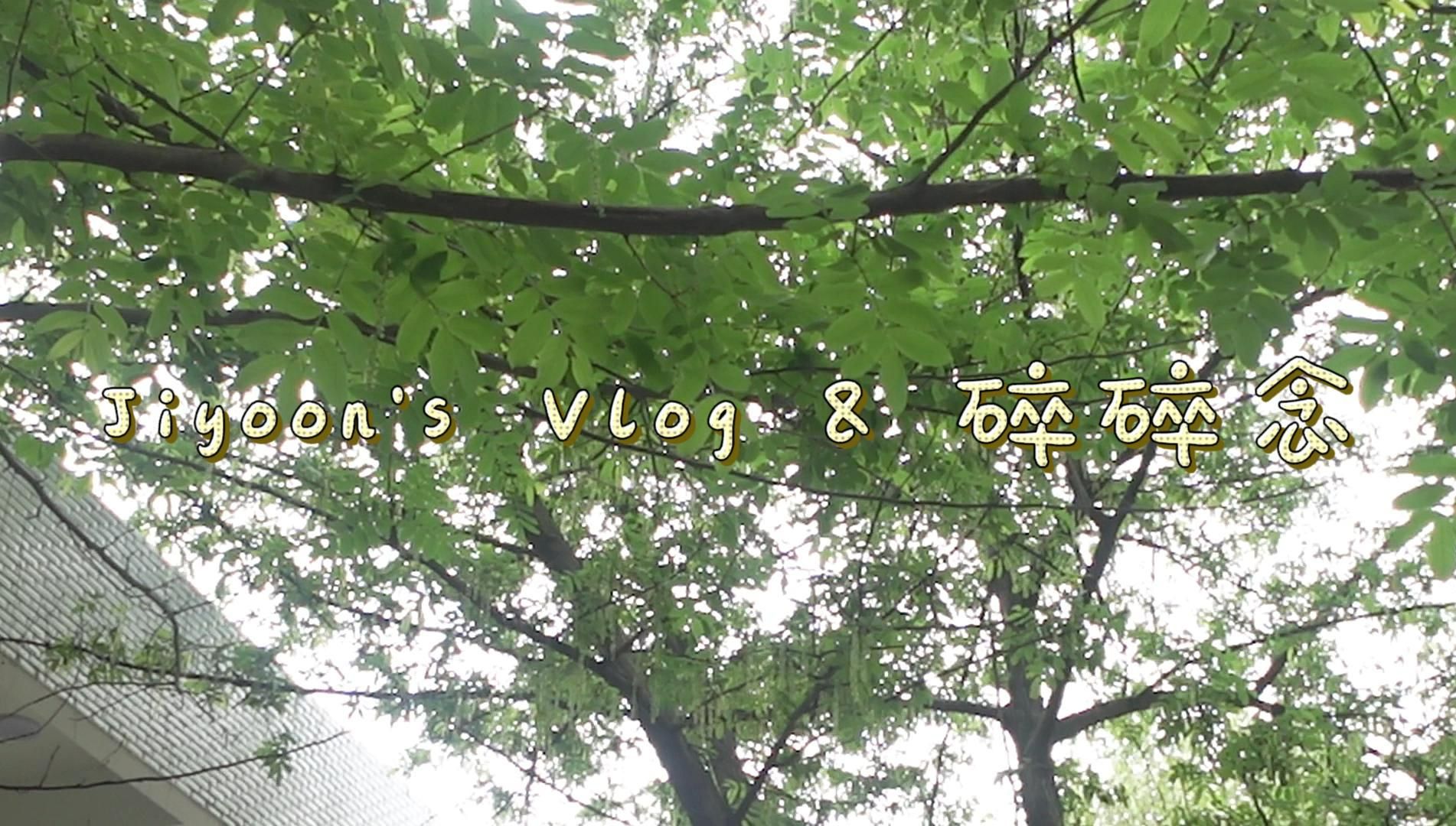 jiyoons vlog & 碎碎念 | 打起精神来吧!今天也努力吧!