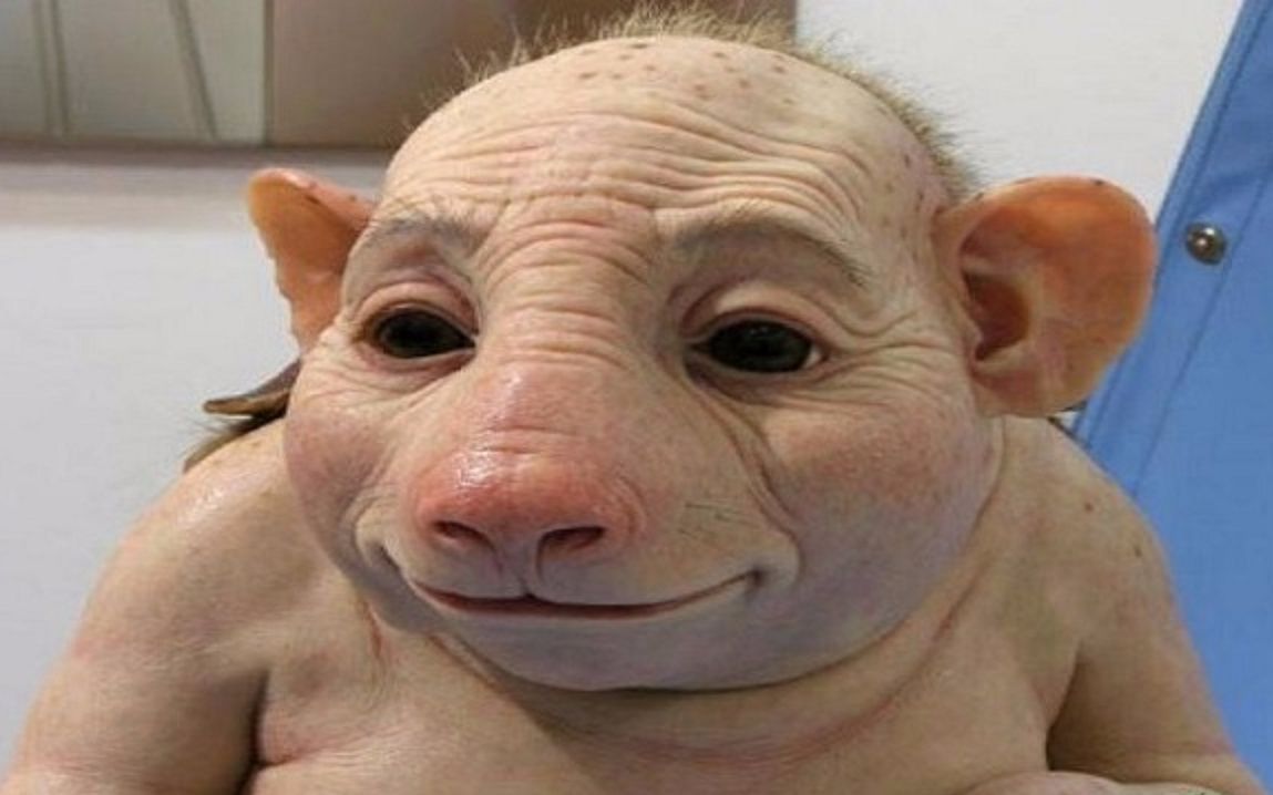 日本科学家研究出半人半猪,拥有人类器官,他们到底用来做什么?