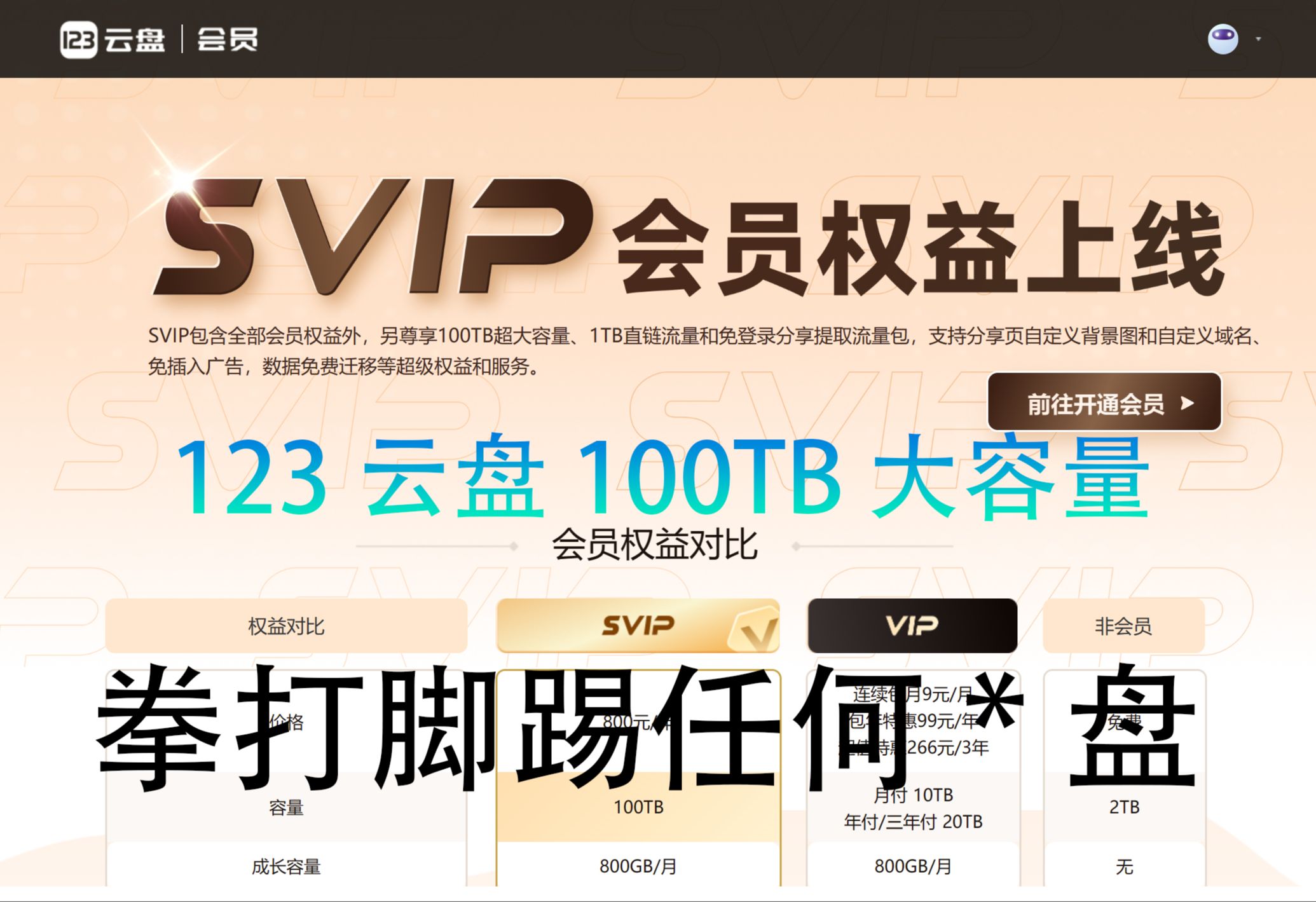 [图]123云盘SVIP，100T大容量