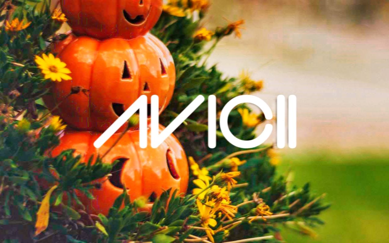【avicii】levels (halloween mix)