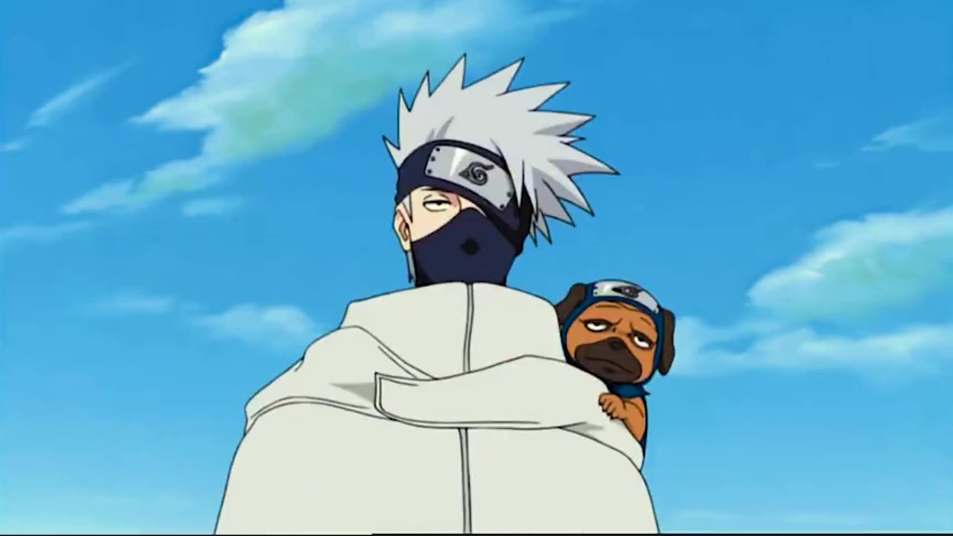 火影忍者:卡卡西神助攻!给大家都配两只狗!就鸣人挽着雏田走!