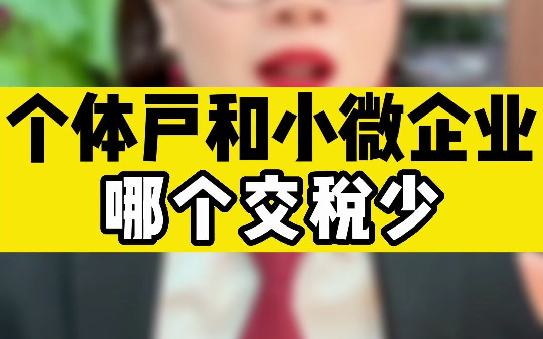 年利润100万,个体户和小微企业哪个交税少,我一个视频告诉你!哔哩哔哩bilibili