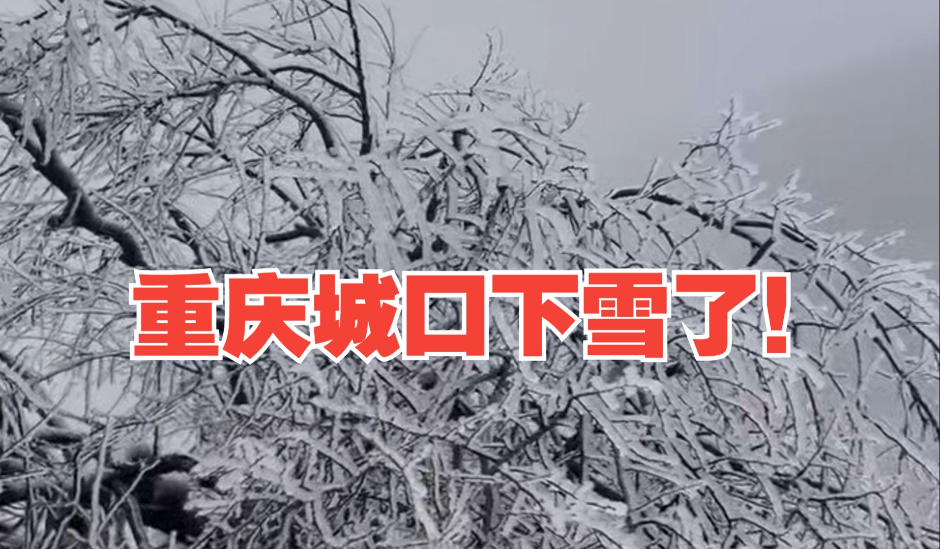 重庆城口下雪了!哔哩哔哩bilibili