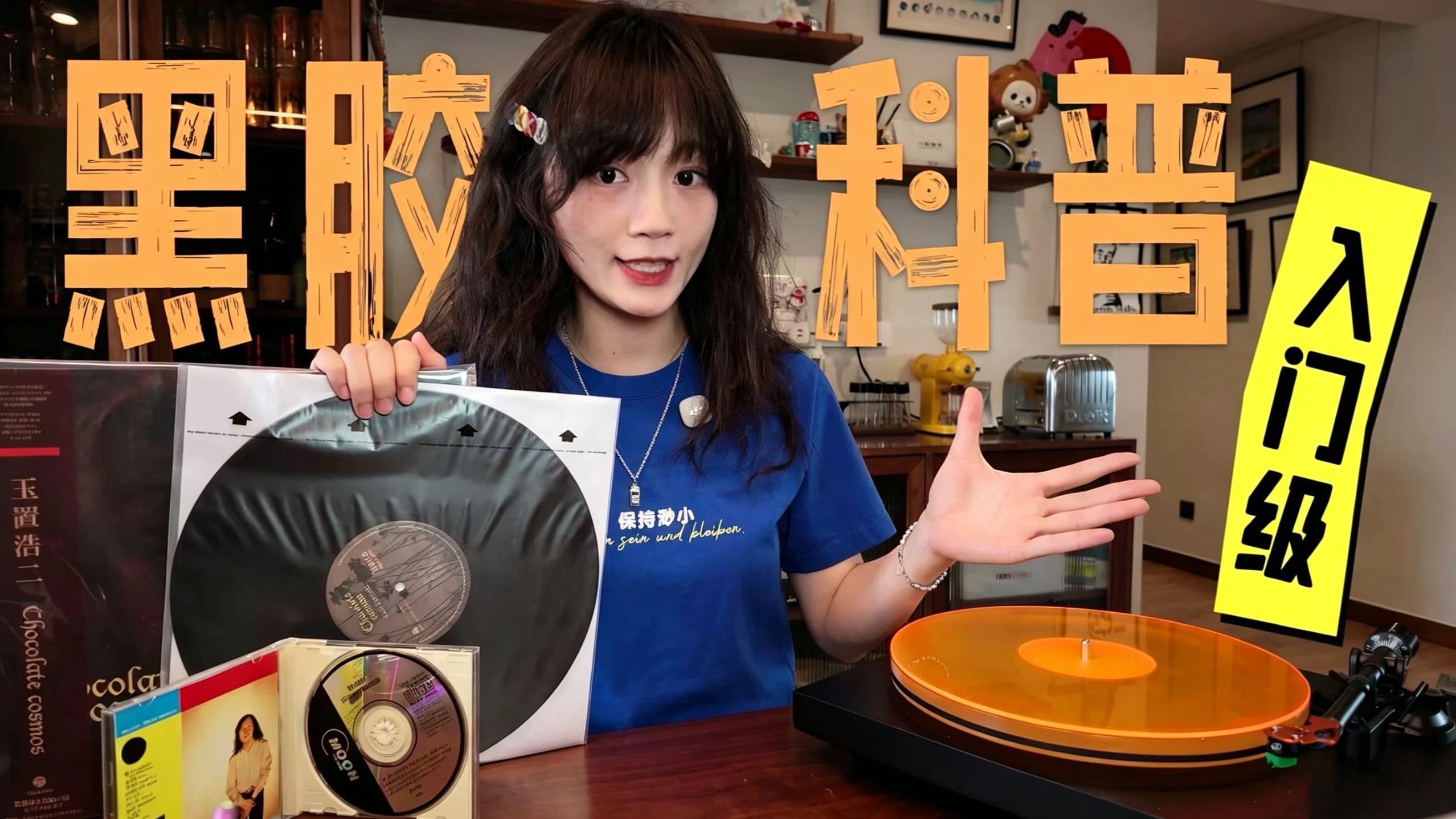 新手无痛入门!超基础黑胶科普,黑胶机、黑胶系统,一条视频全了解!-发条饭团-发条饭团-哔哩哔哩视频