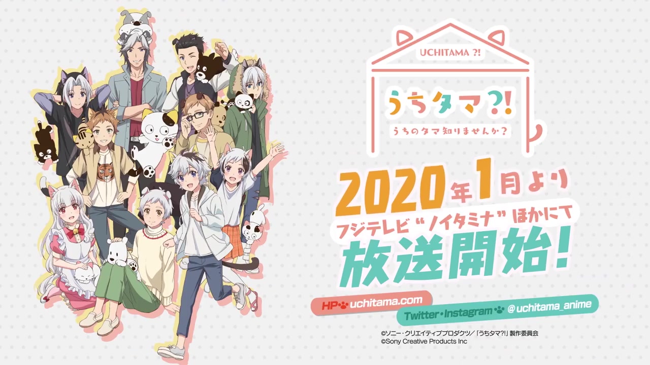 2020年1月放送猫狗宠物街改编tv动画家有圆圆我家的圆圆你知道吗角色