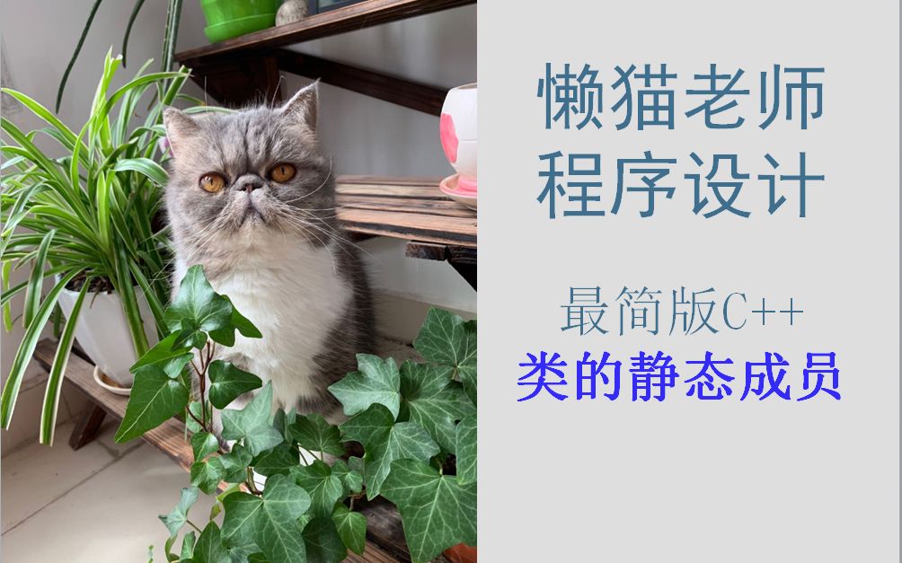 懒猫老师最简版C++(4)类的静态成员(静态属性)哔哩哔哩bilibili