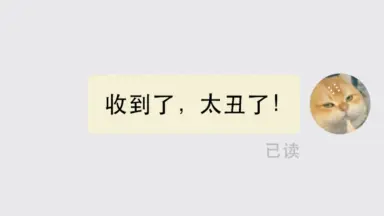客服猫咪表情包