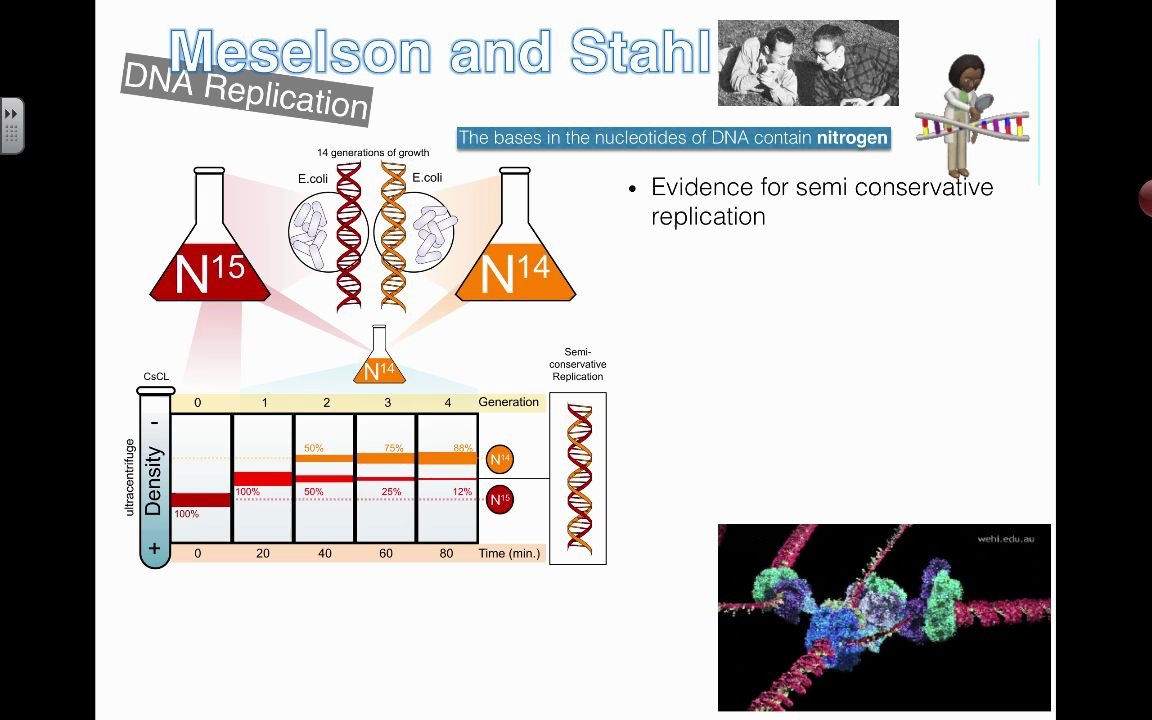 meselsonandstahlexperiment2016ibbiology