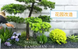 日式造景 哔哩哔哩 Bilibili