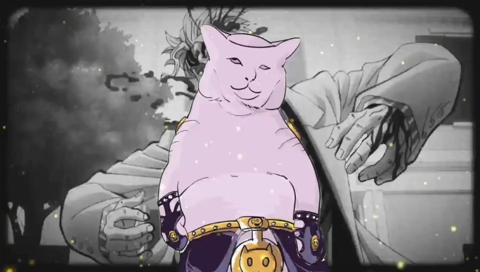 承太郎没事猫儿只是睡着了