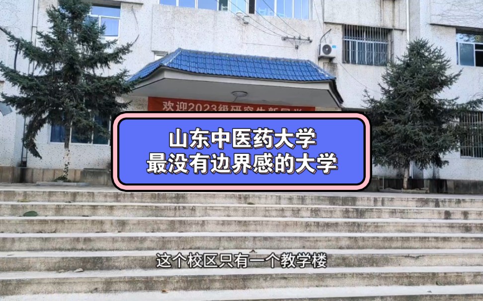 这是我见过最没有边界感的大学!哔哩哔哩bilibili