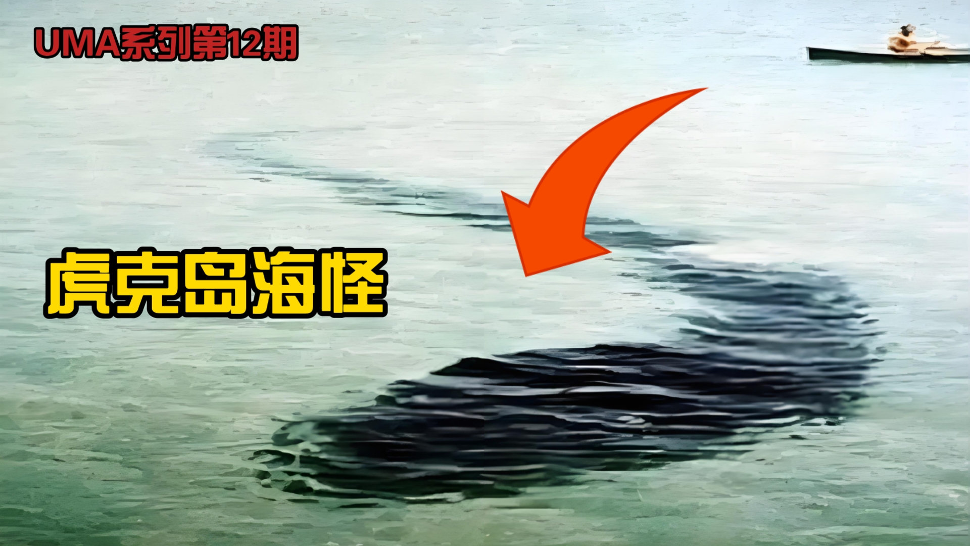 1964年罗伯特·勒塞瑞克在虎克岛拍下的未知巨型蝌科海怪