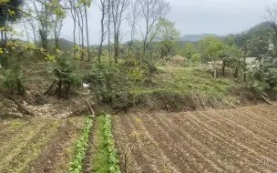 Скачать видео: 老话说伸手摸着案，家财千万贯，风水中一案当前非常关键