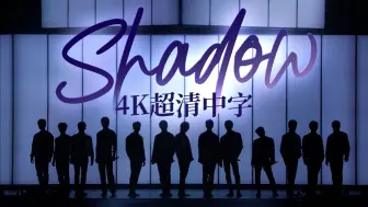 Download Video: 【4K双语】Shadow║无限循环的非主打之光║SEVENTEEN日巡BE THE SUN超清蓝光