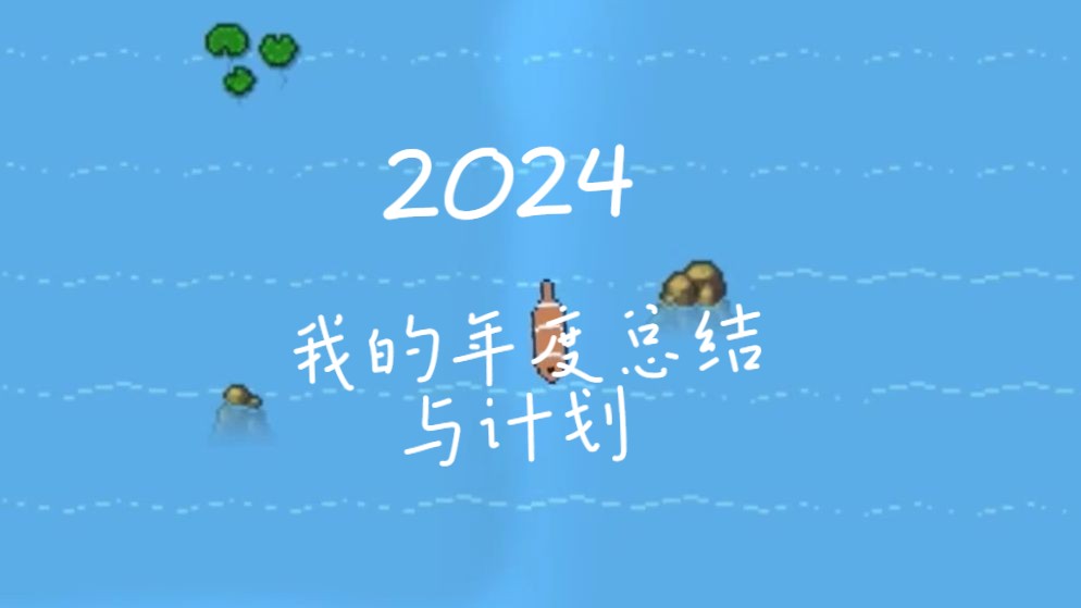 我的年度总结与新年计划(2024)