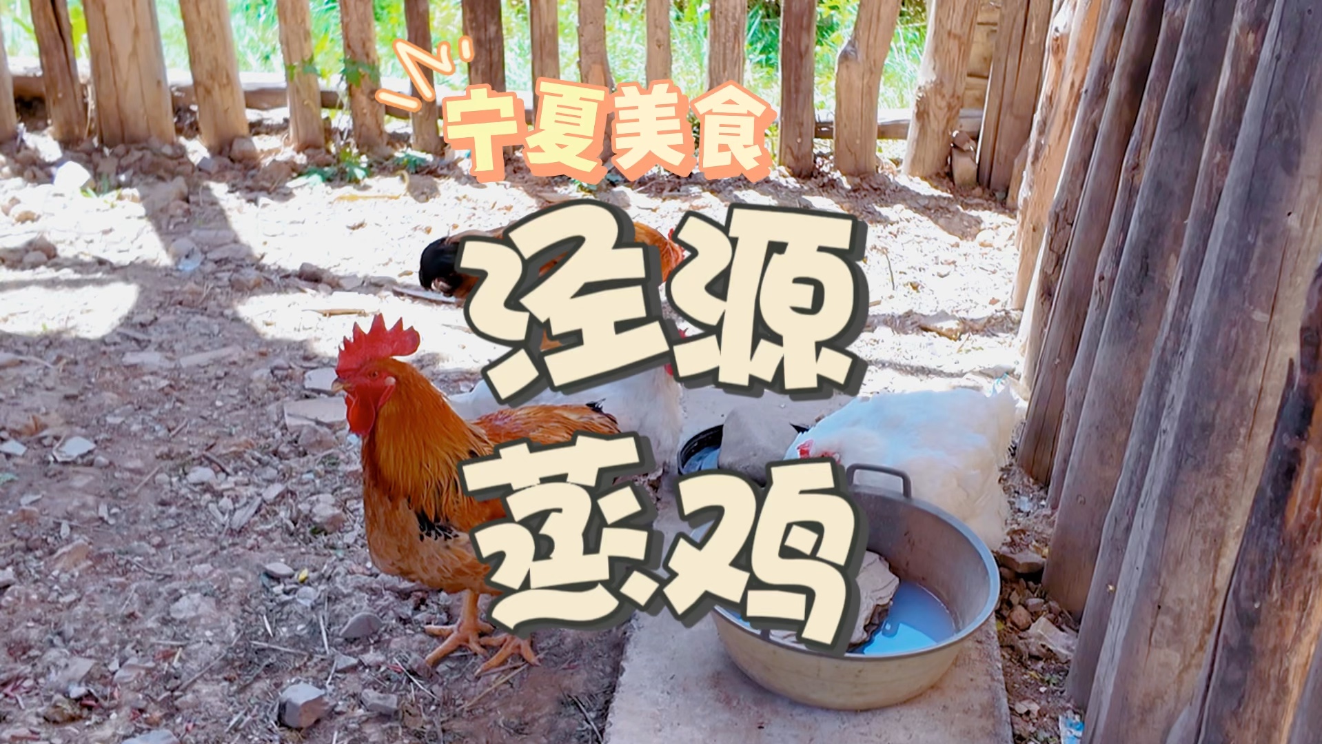 历时三十余日,2300㎞,用泾源蒸鸡作为三刷宁夏的答卷,天下没有不散的