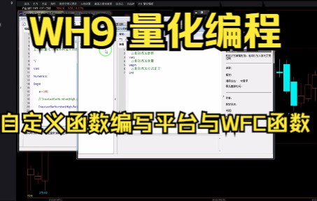自定义函数编写平台与WFC函数哔哩哔哩bilibili
