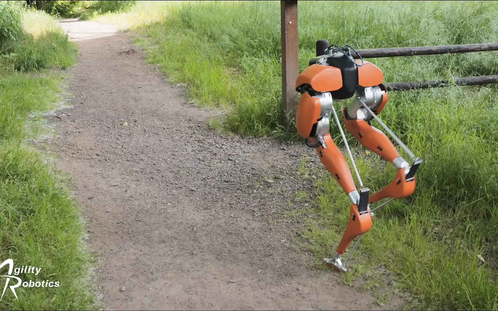 agilityrobotics公司双足机器人散步